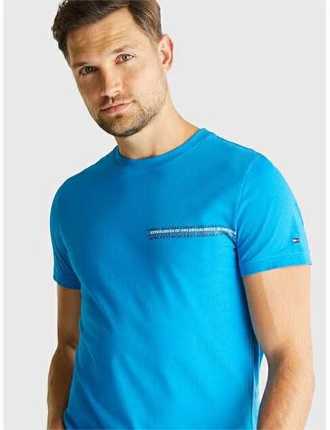 Tommy Hilfiger T-shirt